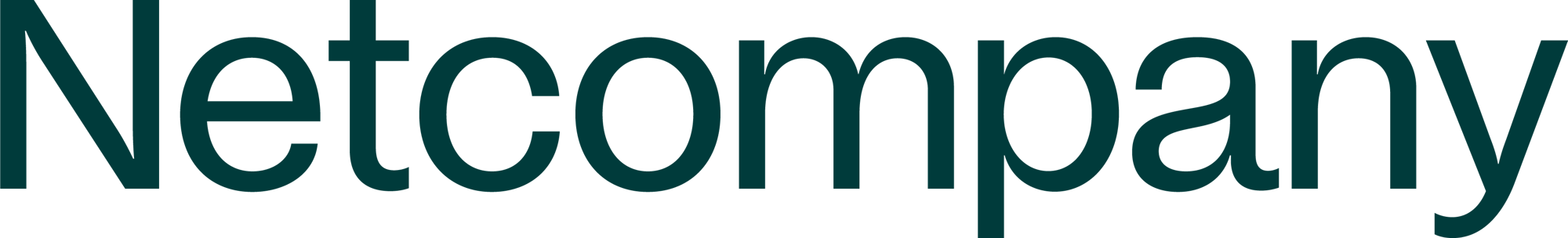 netcompany-logotype-green-CMYK
